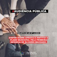 Audiência Pública Projeto de Lei n.º 11/2024